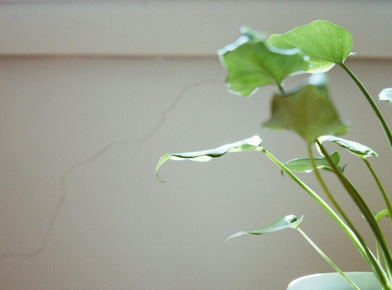 Proste sposoby na redukcję hałasu w domu